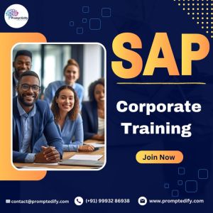 Sap Corporate Training In Tanzania | Prompt Edify