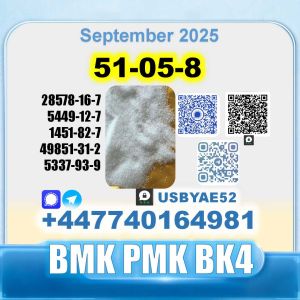  Procaine Hcl 51-0-8 Bvf Bk4 Bmk Pmk Source Factory