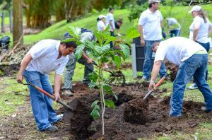 Workers Needed At Canada Fruits And Produce Company