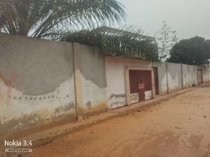 🏡 Vivenda T7 + Anexos + Casa Independente T3 à Venda