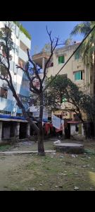 সাভারে ১১ শতাংশ জমি বিক্রি