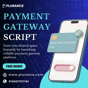Investor-ready Payment Gateway Script For High Revenue Finte