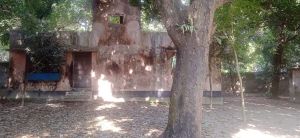 বড় বড় গাছপালা, বিল্ডিং ও বাউন্ডারী সহ বাংলো বাড়ী বিক্রয়