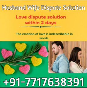 Husband Wife Dispute Solution  - Astrologer Rahul Sharma