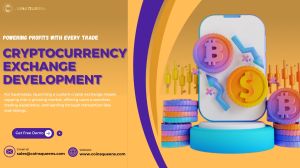 Your Gateway To The Crypto World Starts With Exchange Develo