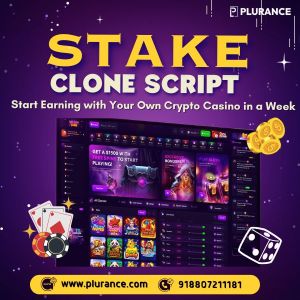 Feature-rich Stake Clone Software For Crypto Gaming Startups
