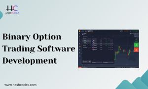 Build A 10x Faster Binary Options Platform With Hashcodex